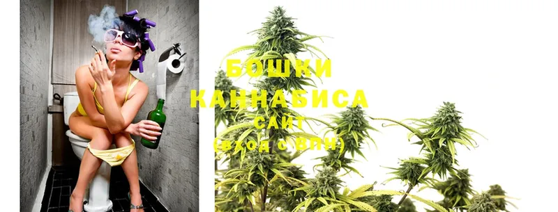 KRAKEN ССЫЛКА  Сортавала  Бошки марихуана SATIVA & INDICA  закладки 